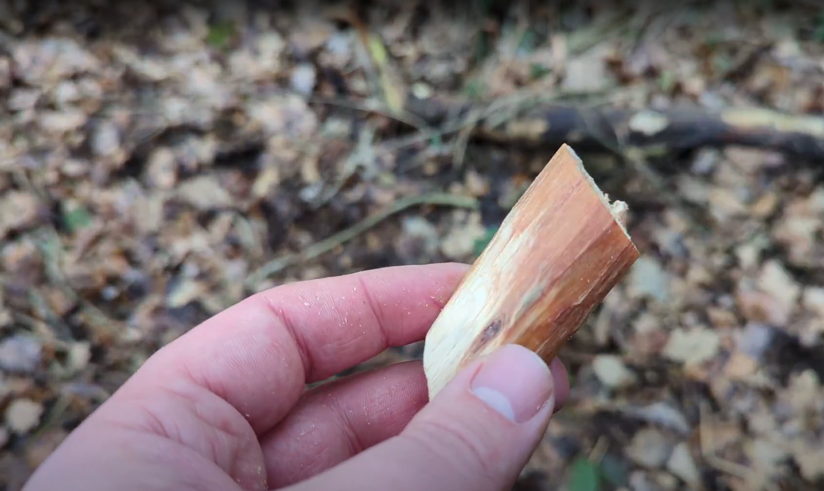 Holzstück mit Kienspan als natürlicher Zunder