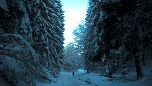 Man hiking in winter woodland
